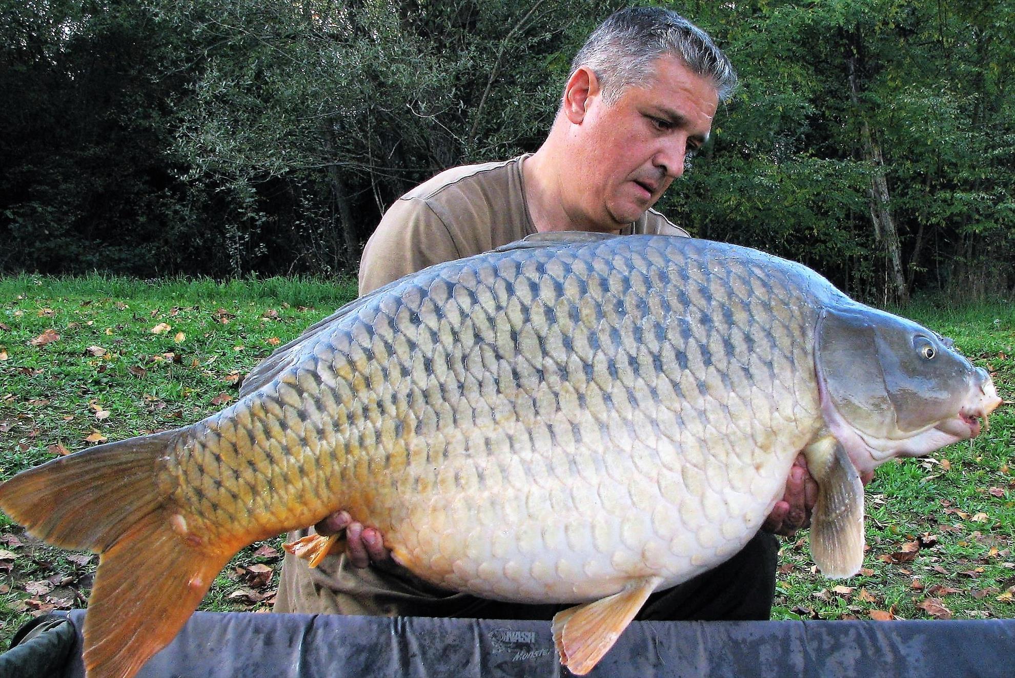 Pelagicevo 8 - 15 octombrie 2017 - img31.jpg